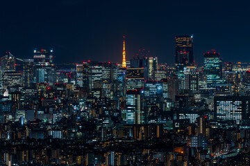 Cityscape of greater Tokyo area with Tokyo tower at dusk.