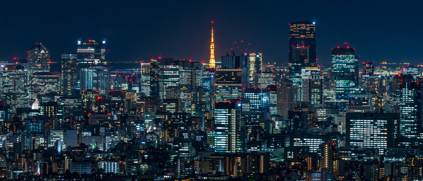 Cityscape of greater Tokyo area with Tokyo tower at dusk.