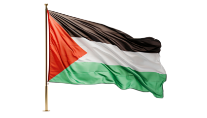 palestine flag isolated