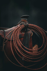 rustic vintage saddle with lariat rope © Tedi S Photography