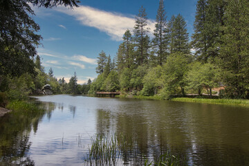 Obraz premium A lake in forest 