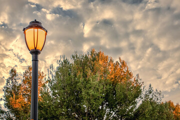 lantern in the park