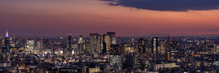 Fototapeta na wymiar Panoramic view of Tokyo Shinjuku and Yoyogi area high rise buildings at golden hour.