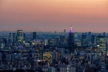 Fototapeta na wymiar Tokyo Shinjuku and Yoyogi area high rise buildings at golden hour.