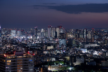 Tokyo Shinjuku area high rise buildings at dusk.
