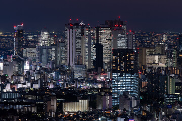 Fototapeta na wymiar Tokyo Shinjuku area high rise buildings at dusk.
