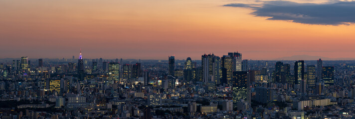 Panoramic view of Tokyo Shinjuku and Yoyogi area high rise buildings at golden hour.