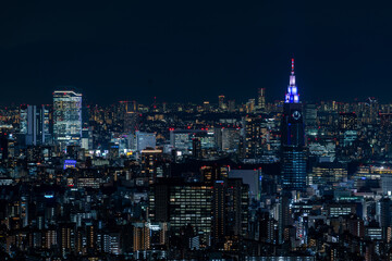 Fototapeta na wymiar Tokyo Shinjuku and Yoyogi area high rise buildings at dusk.