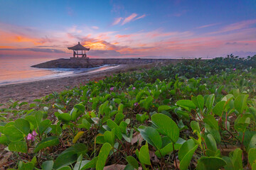 Sunrise at Karang Beach, Sanur, Bali, Indonesia. - 664706919