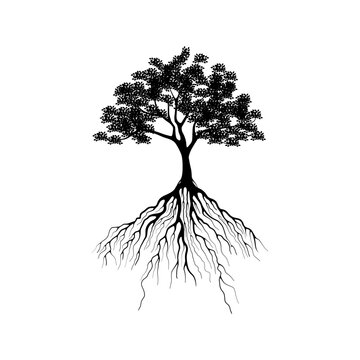 recommend clip art: oak tree silhouette isolated on white background