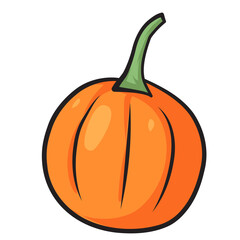Sugar pie pumpkin handdrawn doodle illustration
