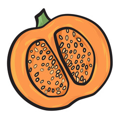 Slice half of orange color pumpkin vegetable doodle illustration