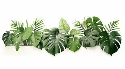 simple nature design with horizontal artwork composition of trendy tropical green leave