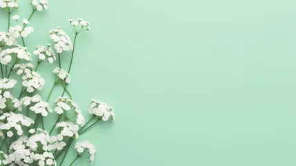 Gordijnen Small white gypsophila flowers on pastel green background. simple design © BornHappy