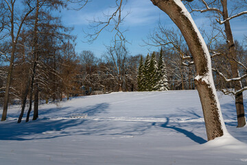 Winter landscape near the Large Pond in the Catherine Park of Tsarskoye Selo on a sunny winter day,...