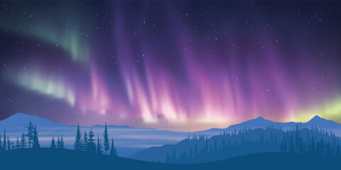 Winter landscape with polar lights, night starry sky, mountain landscape, vector illustration