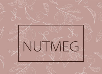 Nutmeg nuts and flowers seamless pattern. Branch, nuts, buds and leaves.