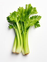 Celery Studio Shot Isolated on Clear Background, Food Photography, Generative AI