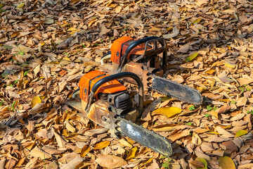 Cordless Chainsaw. woodcutter sawing chain saw in motion, sawdust fly to sides. Chainsaw in motion. Hard wood working in forest. Sawdust fly around.