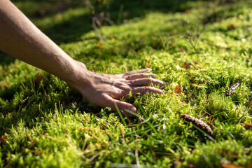 Man touches moss in forest feeling soft surface enjoying walking outdoors on nature, hand close-up. Explore world, protect nature, save planet, environment protection, eco-friendly lifestyle concept.