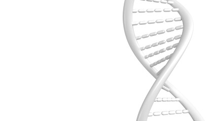 The DNA image for sci or education concept 3d rendering.