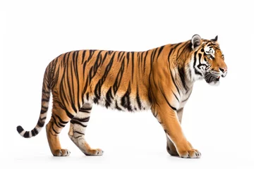 Zelfklevend Fotobehang Ussuri tiger isolated on a white background © Veniamin Kraskov