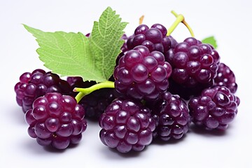 Boysenberry Purple Color: Captivating Hybrid Fruit Texture Image, generative AI