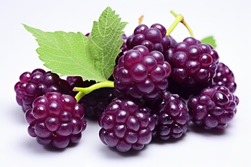 Fototapeta premium Boysenberry Purple Color: Captivating Hybrid Fruit Texture Image, generative AI