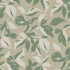 Gardinen Pflanzen Muster  Vector tropical leaf botanical illustration seamless repeat pattern  © Claramh