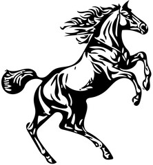 Black and white illustration of a jumping stallion, vector drawing of a stallion
