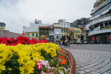 Decor flowers on the street of Hanoi