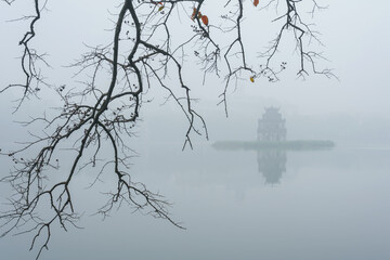 Big tree by Hoan Kiem lake in winter scenery in Hanoi
