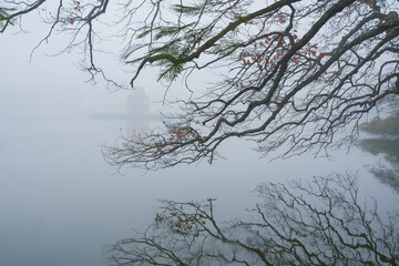 Fototapeta na wymiar Big tree by Hoan Kiem lake in winter scenery in Hanoi