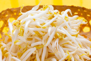 Bean sprouts on yellow background