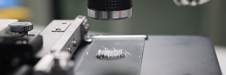 Scientist studies sugar crystals under electronic microscope