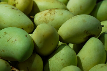 A bunch of mangoes in a fruit stall