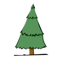 Weihnachtsbaum