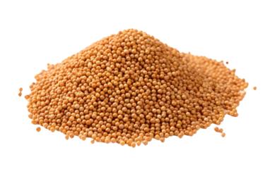 Nutritious Seeds Isolated on White on White or PNG Transparent Background.