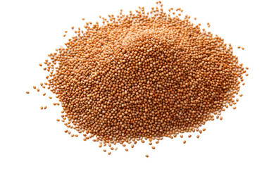Realistic Quinoa Seeds in PNG Format on White or PNG Transparent Background.