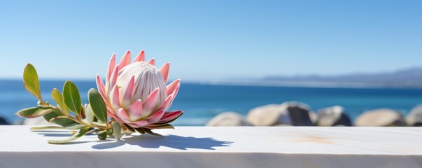 Abstract backdrop for beauty, SPA product, advertising. Exotic pink protea with ocean view on the background. AI generated image - obrazy, fototapety, plakaty
