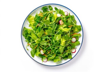 Healthy fresh green salad plate shot from above on white background.