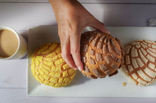Hands of Mexican Hispanic woman. Concept of taking food with hands or handling food. Mexican sweet bread chocolate concha on a white plate with a cup of coffee on the side 