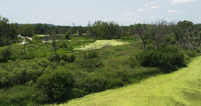 Trempealeau Perrot state park marshland flyover, delicate ecosystem, algae bloom