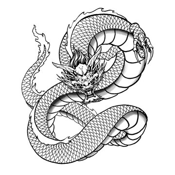 dragon head line art illustration premium vector