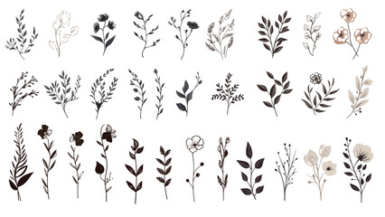 Set watercolor elements of pink roses; collection garden flowers; leaves; branches. Botanic Wedding floral design. Collection of greenery leaf plant forest herbs tropical leaves.