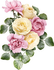 Pink and ivory roses isolated on a transparent background. Png file.  Floral arrangement, bouquet of garden flowers. Can be used for invitations, greeting, wedding card.