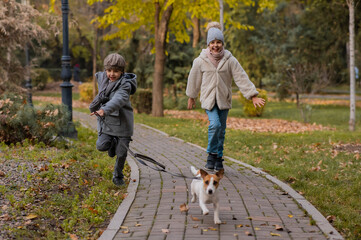 Fototapeta premium Brother and sister walk the dog in the park in autumn. Boy and girl running with jack russell terrier on a leash. 