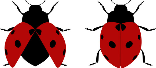 ladybug silhouette and vector ustration design - obrazy, fototapety, plakaty