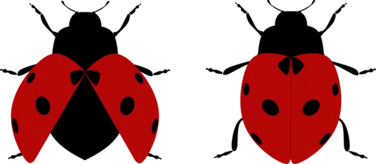 Fotobehang ladybug silhouette and vector ustration design © Ganjart