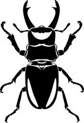 beetle silhouette and vector ustration design